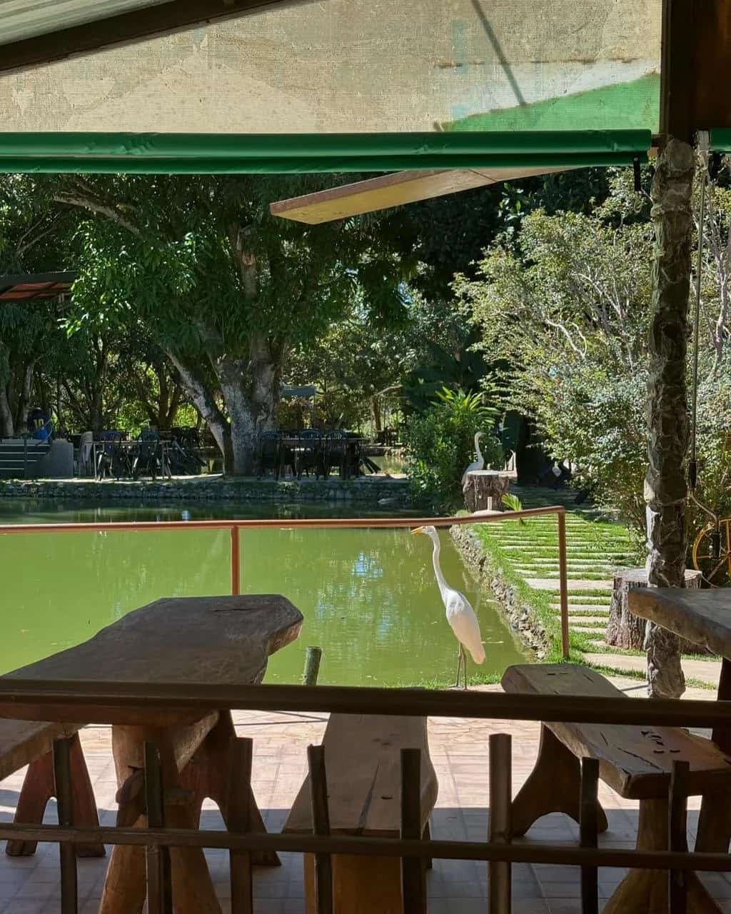 Mesas rústicas de madeira sob cobertura com vista para a lagoa e uma garça