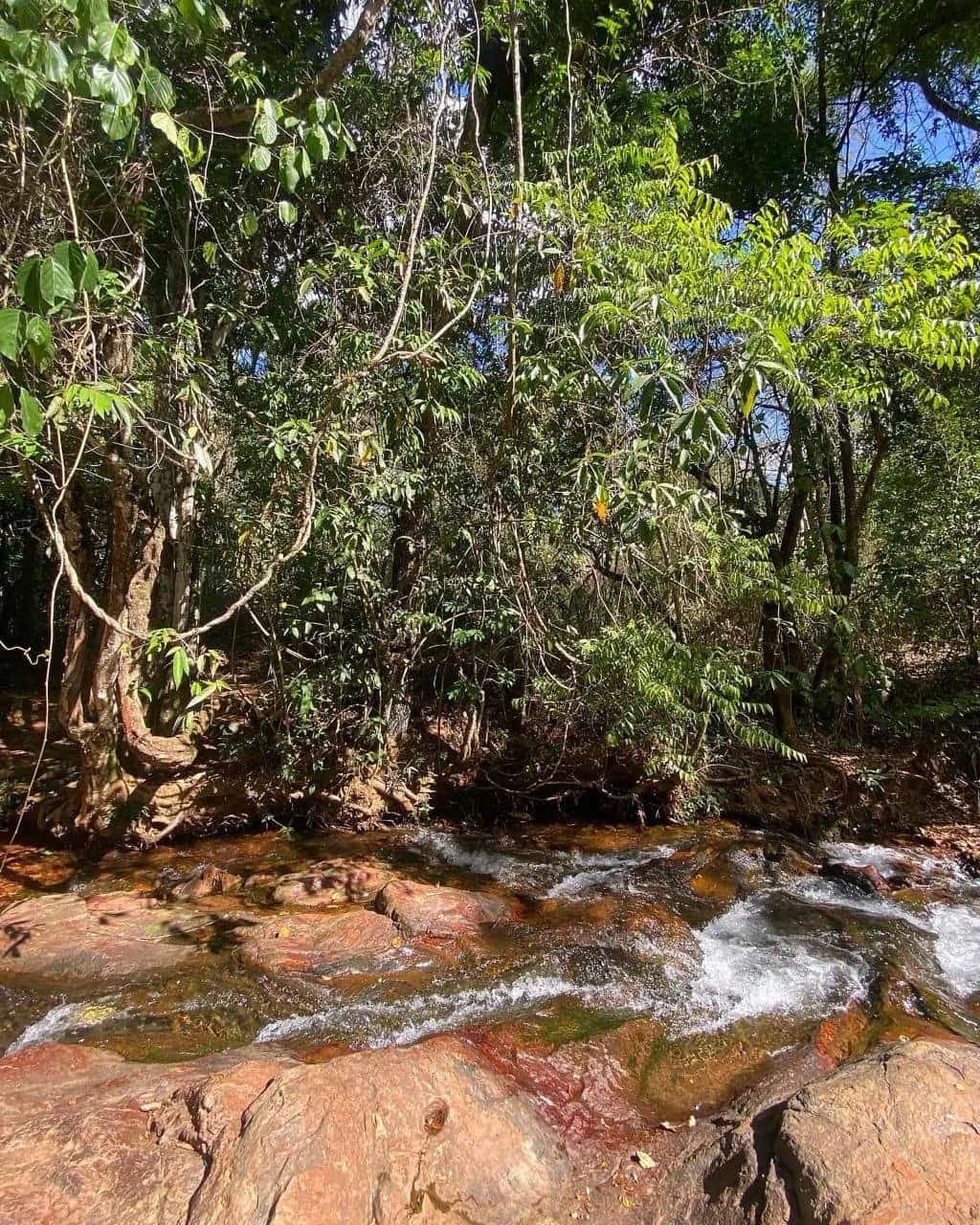 Riacho corrente sobre rochas avermelhadas cercado pela mata fechada