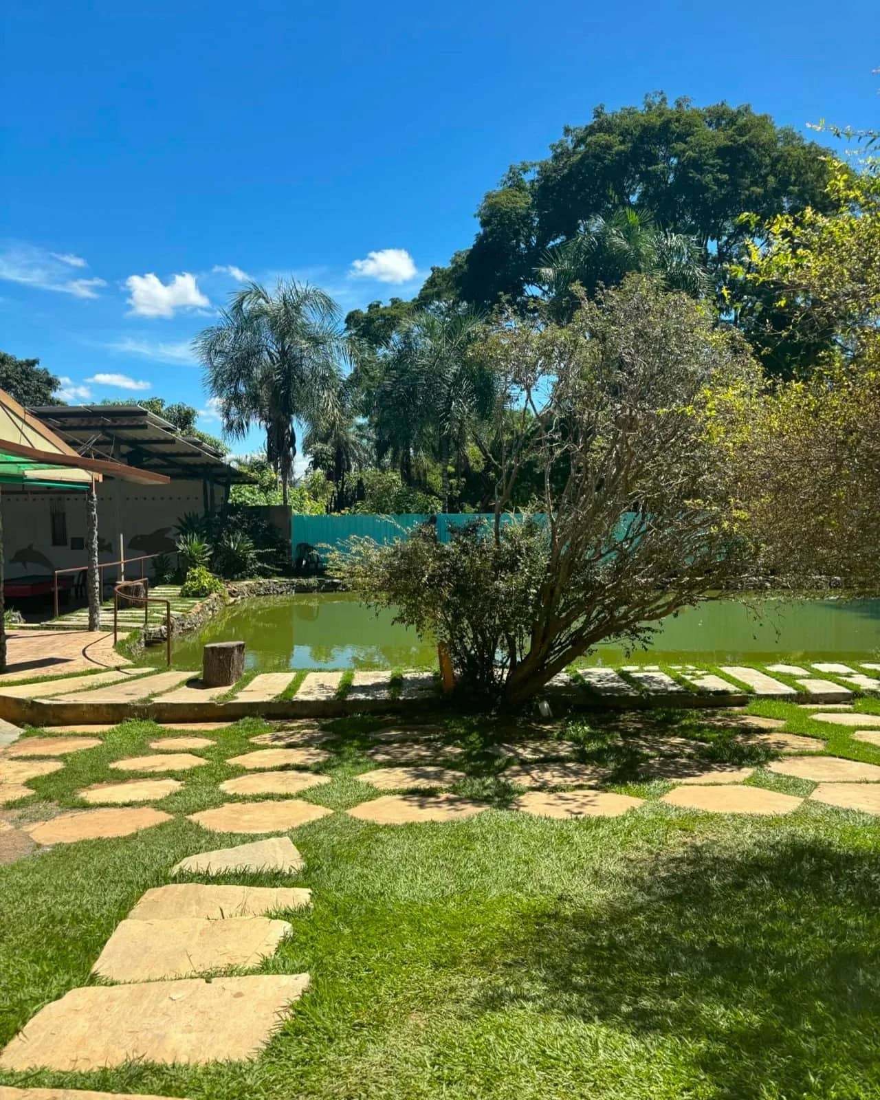 Área verde com piso de pedra, árvore frondosa e lagoa ao fundo