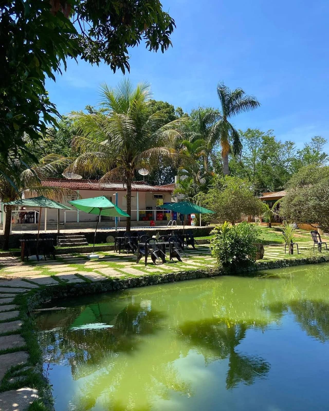 Lagoa espelhada refletindo palmeiras e a área de mesas com guarda-sóis