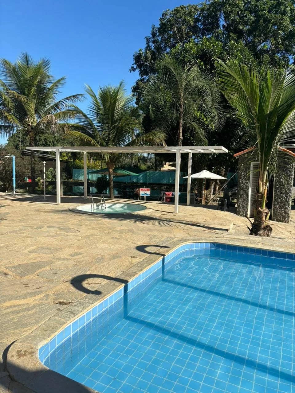 Piscina azul com pergolado, ofurô ao fundo e coqueiros ao redor