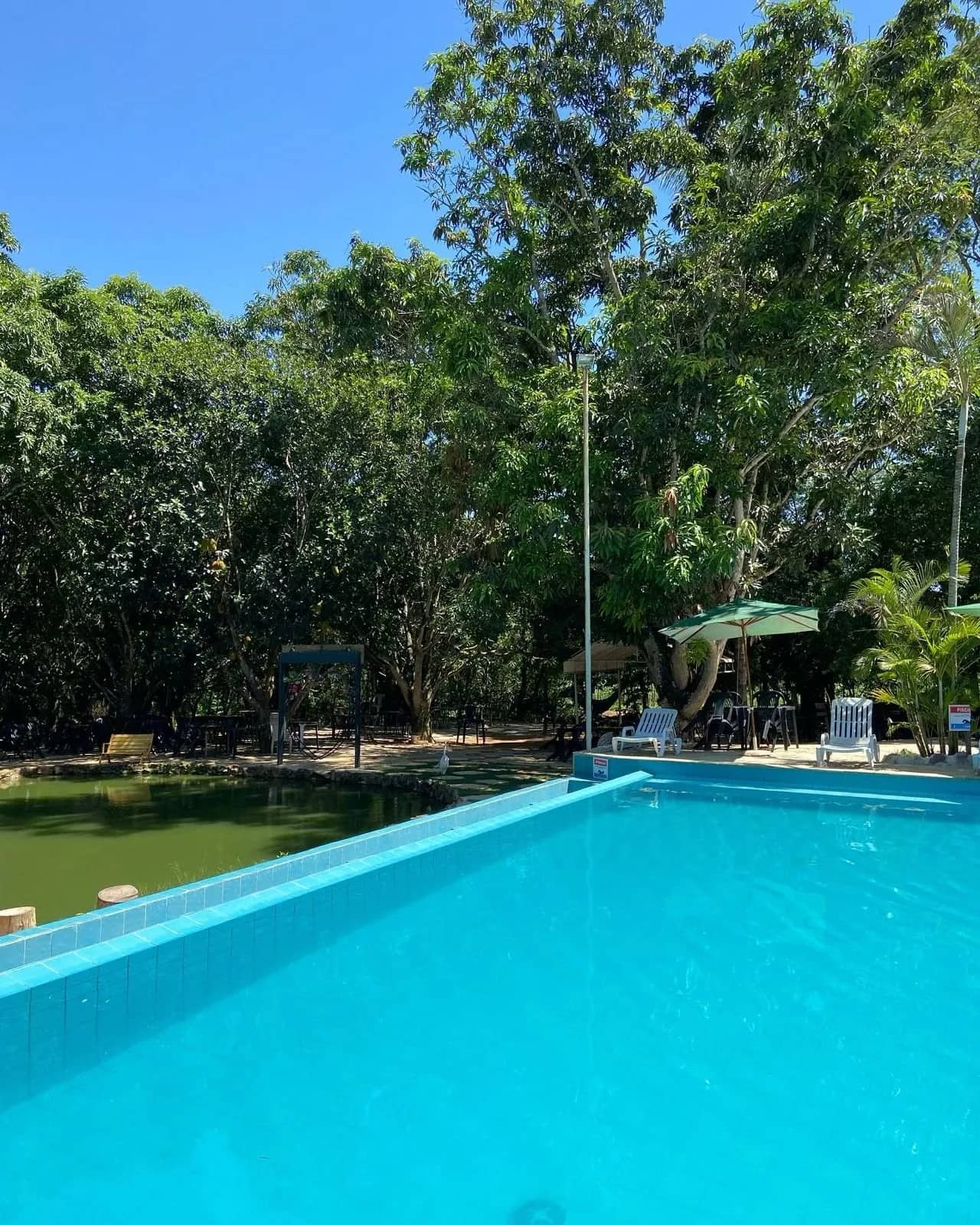 Piscina de água azul junto à lagoa, sombreada por mangueiras altas