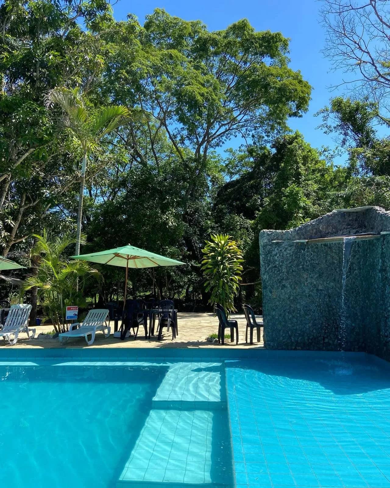 Piscina azul limpa com cascata de pedra e guarda-sol verde entre árvores