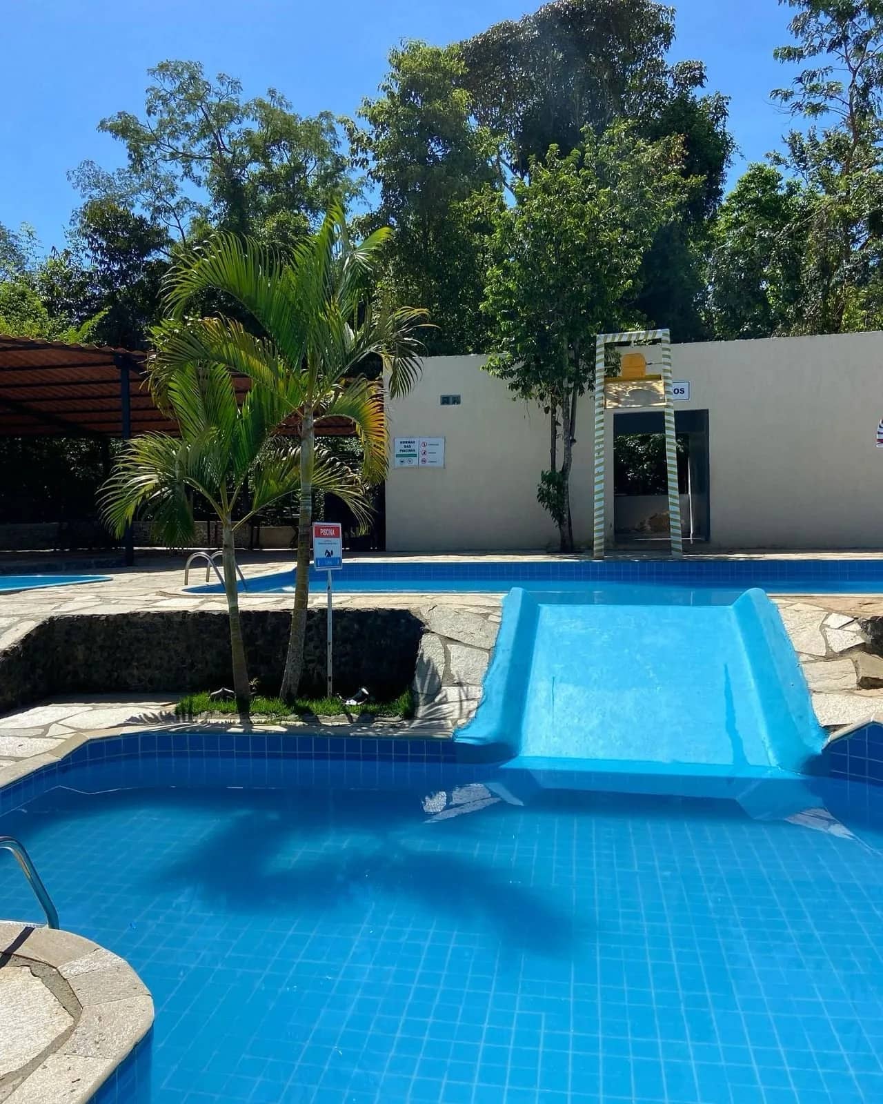 Piscina infantil com escorregador largo e coqueiro entre os dois tanques