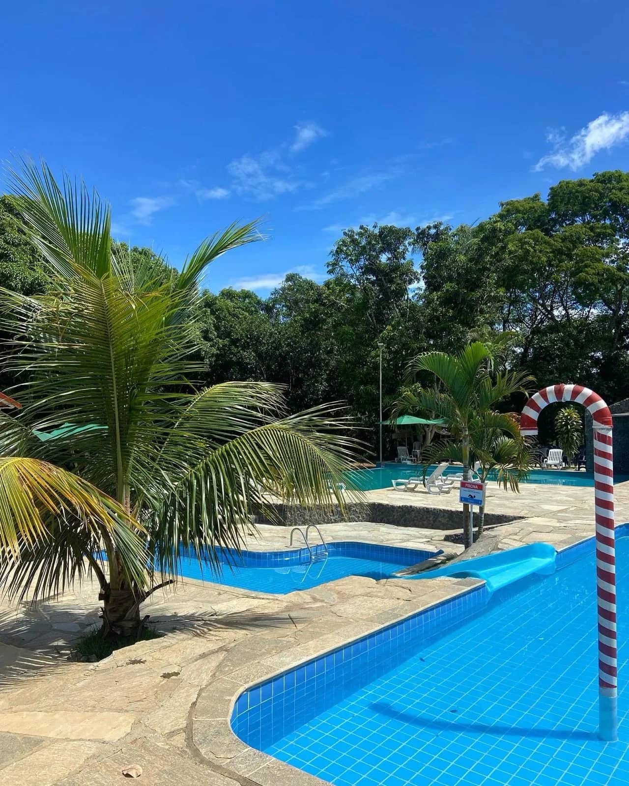 Piscina azul entre coqueiros novos, com arco listrado e espreguiçadeiras
