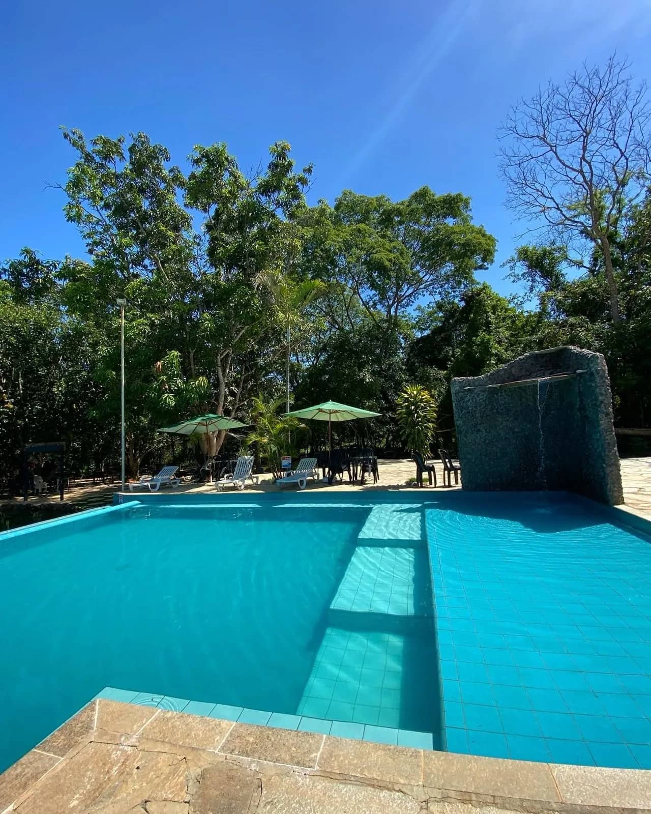 Piscina retangular azul com cascata de pedra e guarda-sóis entre mangueiras