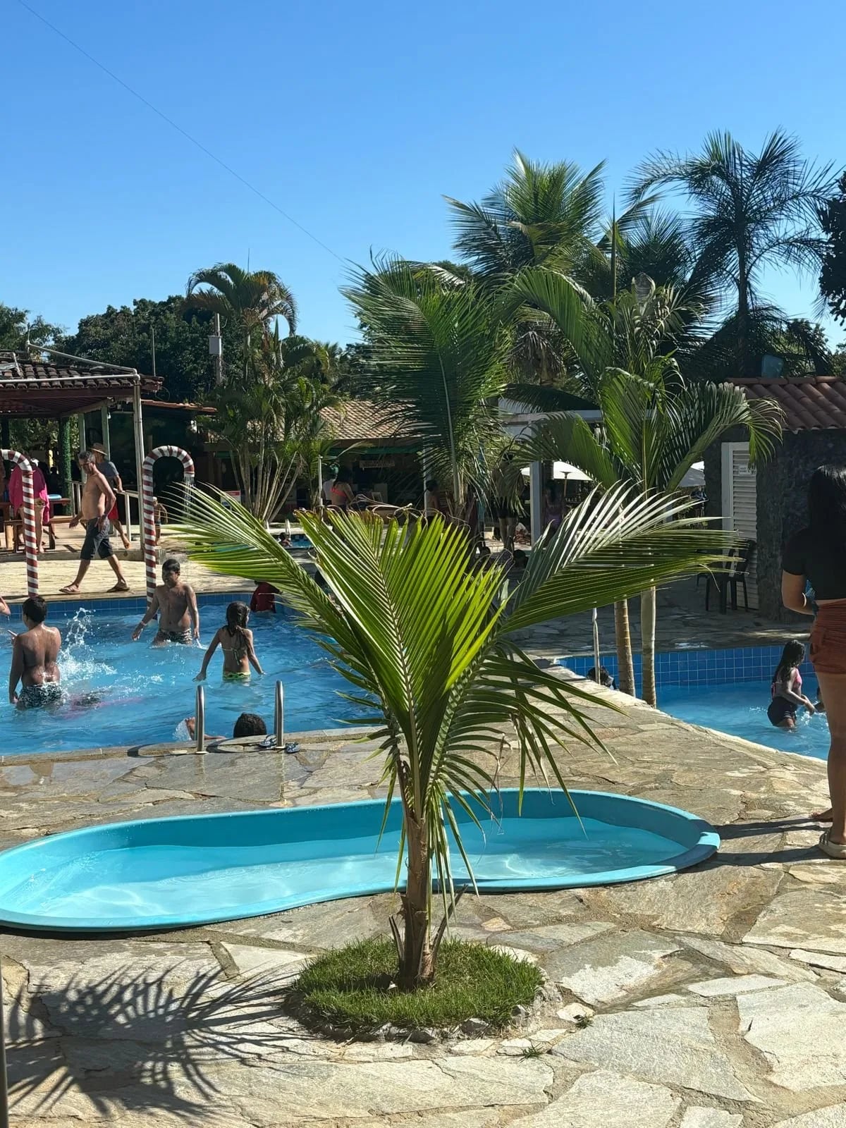 Banhistas aproveitando as piscinas em dia de sol entre coqueiros e palmeiras
